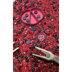 sensoryfun-coccinelles-