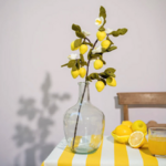 Smv-branche-citron1