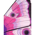 50560-ailes-papillon2