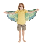 50592-ailes-perroquet3