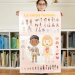 Poster géant + 49 stickers Le corps humain Poppik 7
