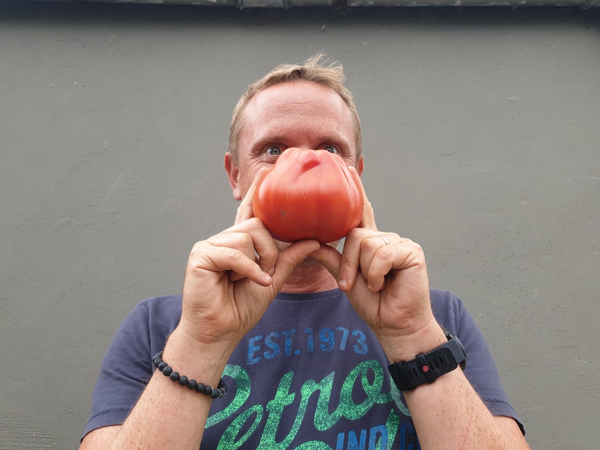 tomate coeur de boeuf de nice