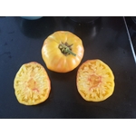 tomate_ananas_jaune