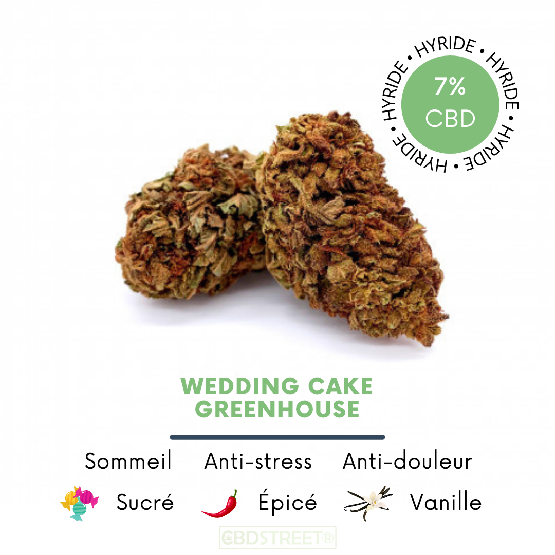 Wedding Cake CBD 7% greenhouse