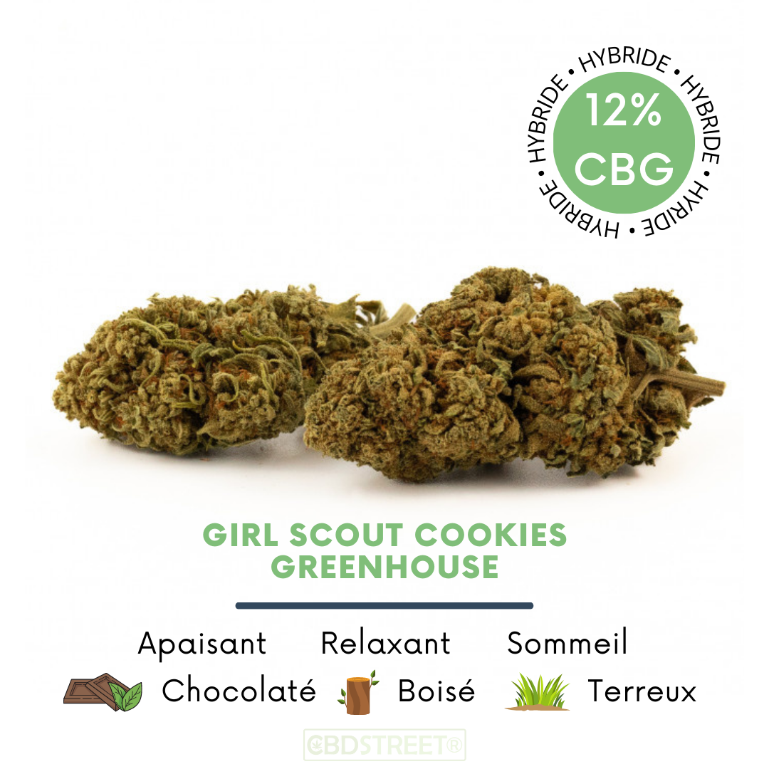 Girl Scout Cookies – Fleurs de CBG greenhouse