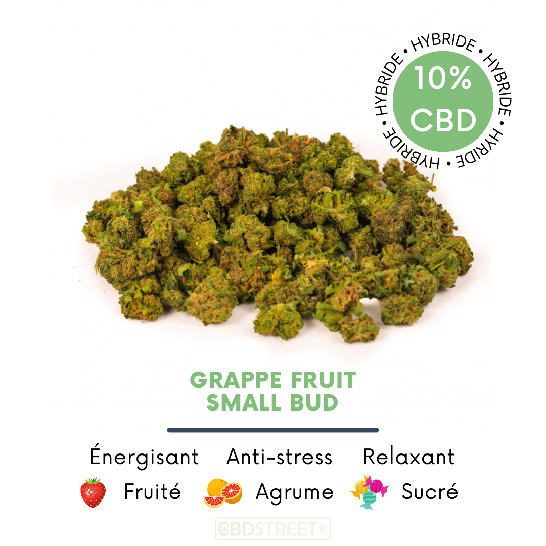 Grappe Fruit Small Bud CBD 10 %