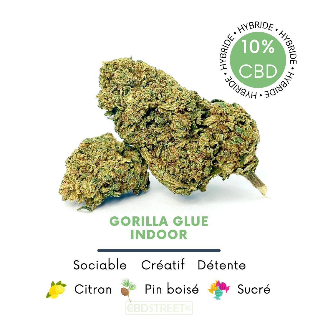Gorilla Glue CBD – Fleur CBD