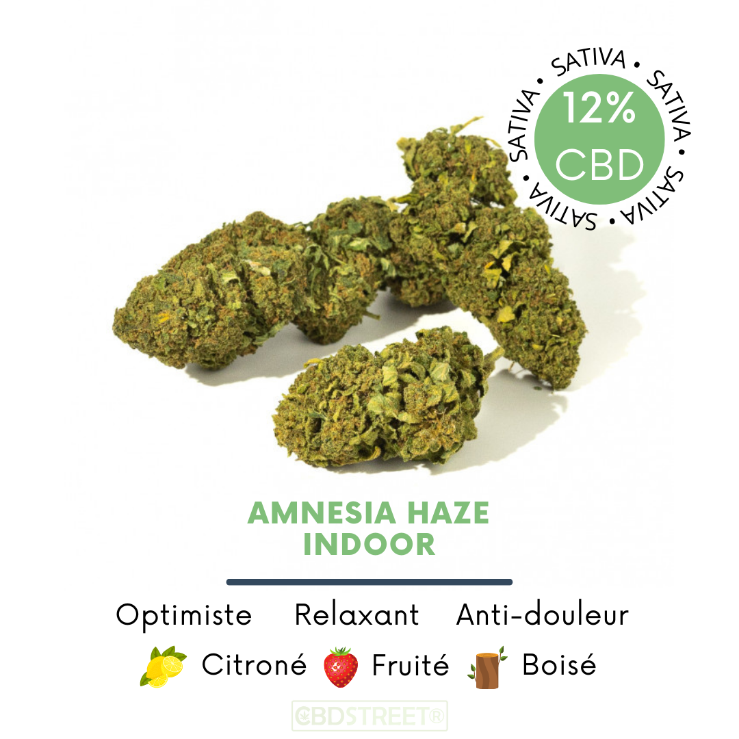 Amnesia Haze – Fleur de CBD indoor