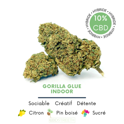 Gorilla Glue – Fleur de CBD indoor
