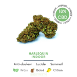 Halequin CBD- fleur de cbd