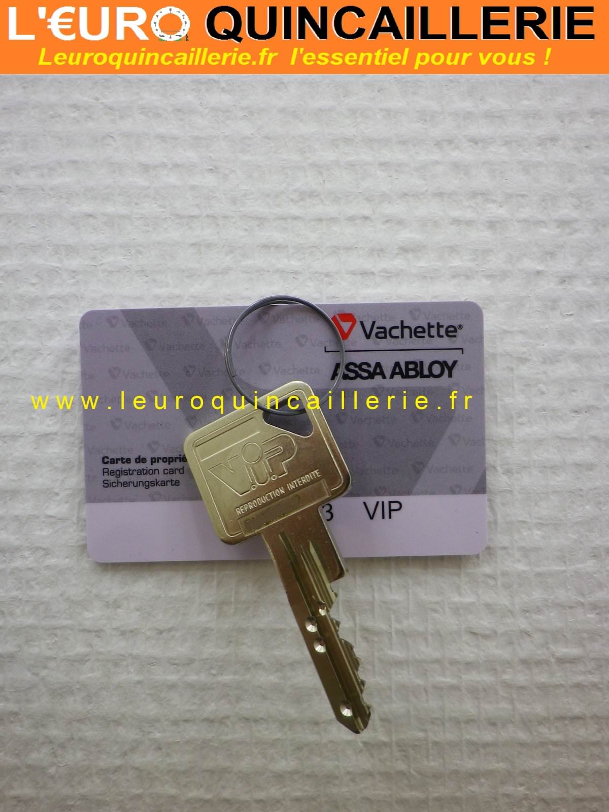 CLE VACHETTE VIP BREVETEE AVEC CARTE DE PROPRIETE