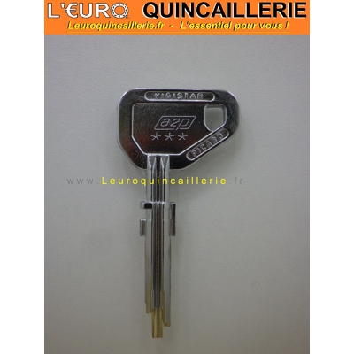 CLE BREVETEE VIGISTAR PICARD