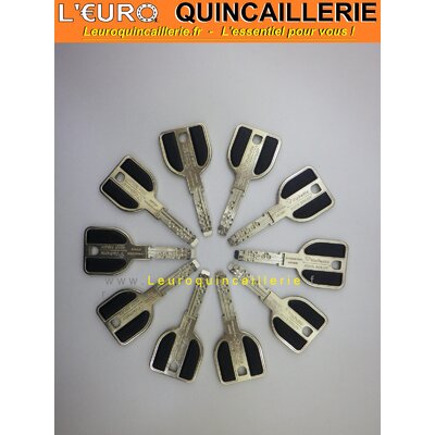 CLES DE PASSE VACHETTE RADIAL NT