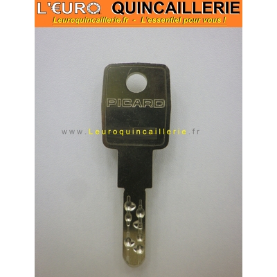 CLE BREVETEE PICARD KABA 20