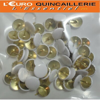 60 PUNAISES  BLANCHES (2)