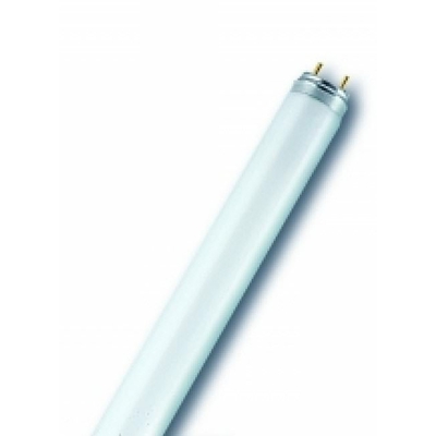 neon970mm