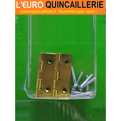 2 charnières laitonnèes 35x22 2