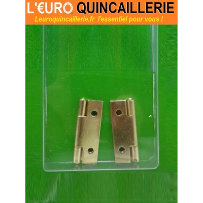 2 charnières laitonnèes 30x19 2