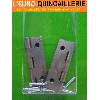 2 charnières longues acier 50x30 2