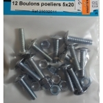 12 BOULONS POELIERS ACIER ZINGUE 5x20