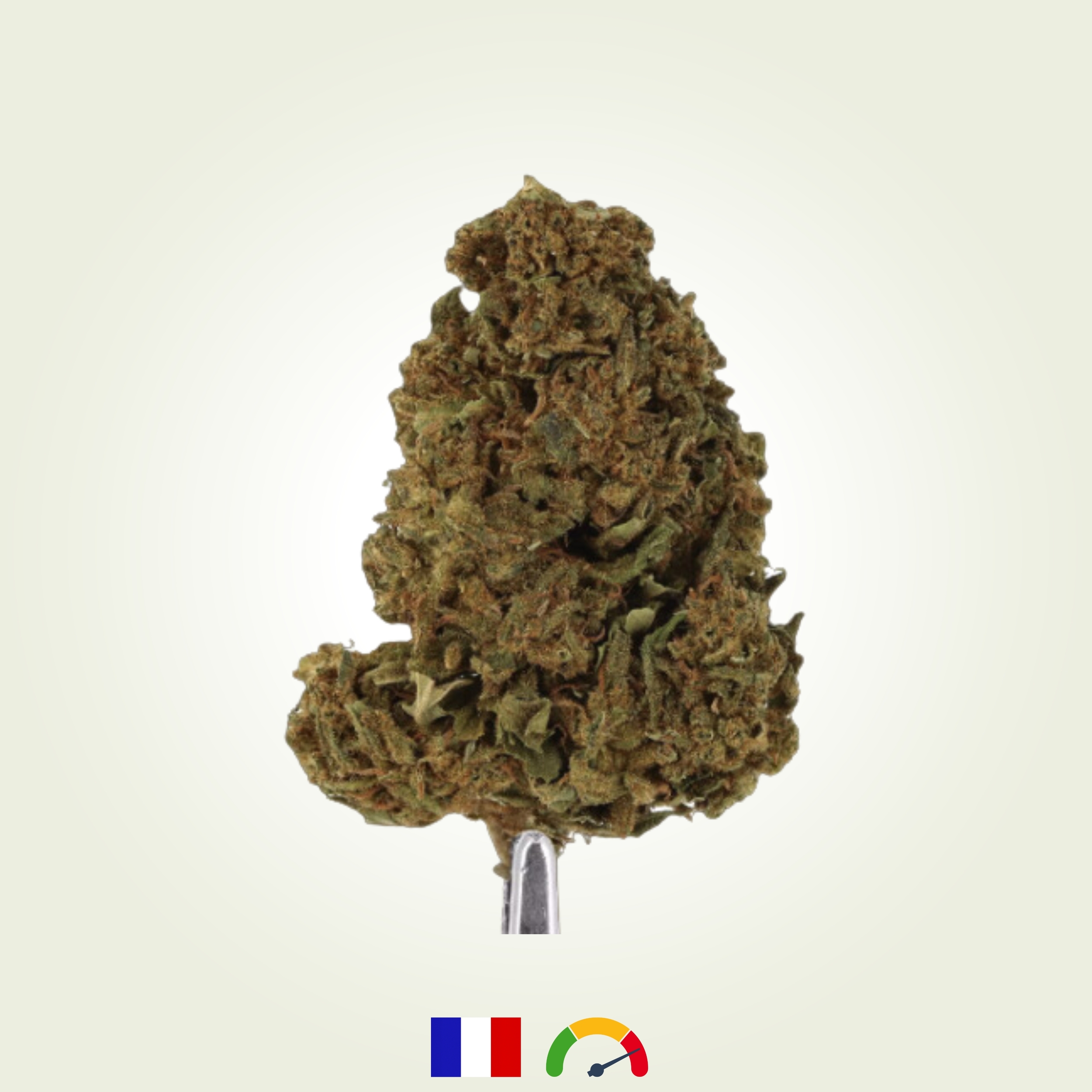 Trim premium (2)