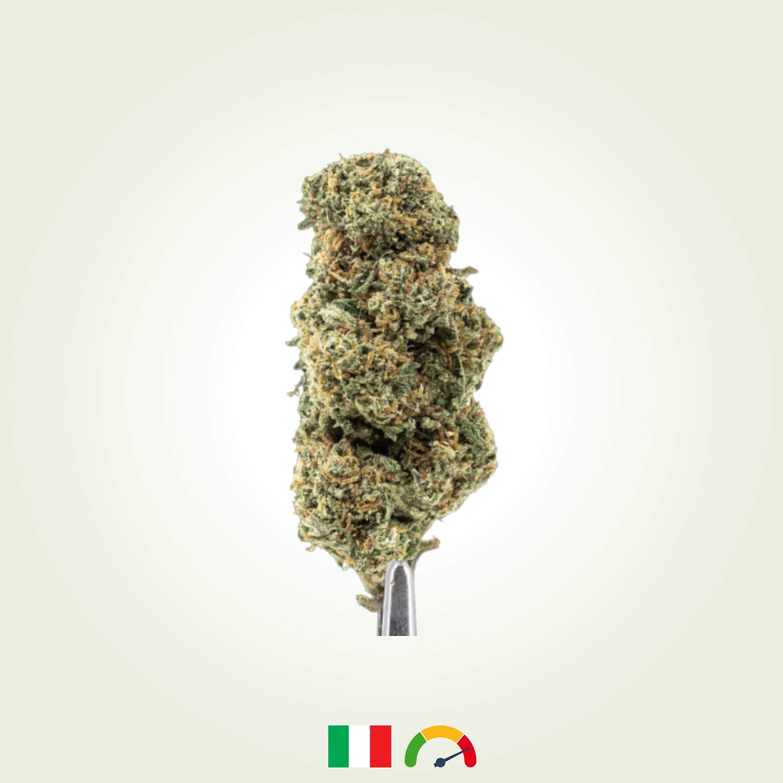 cali grape