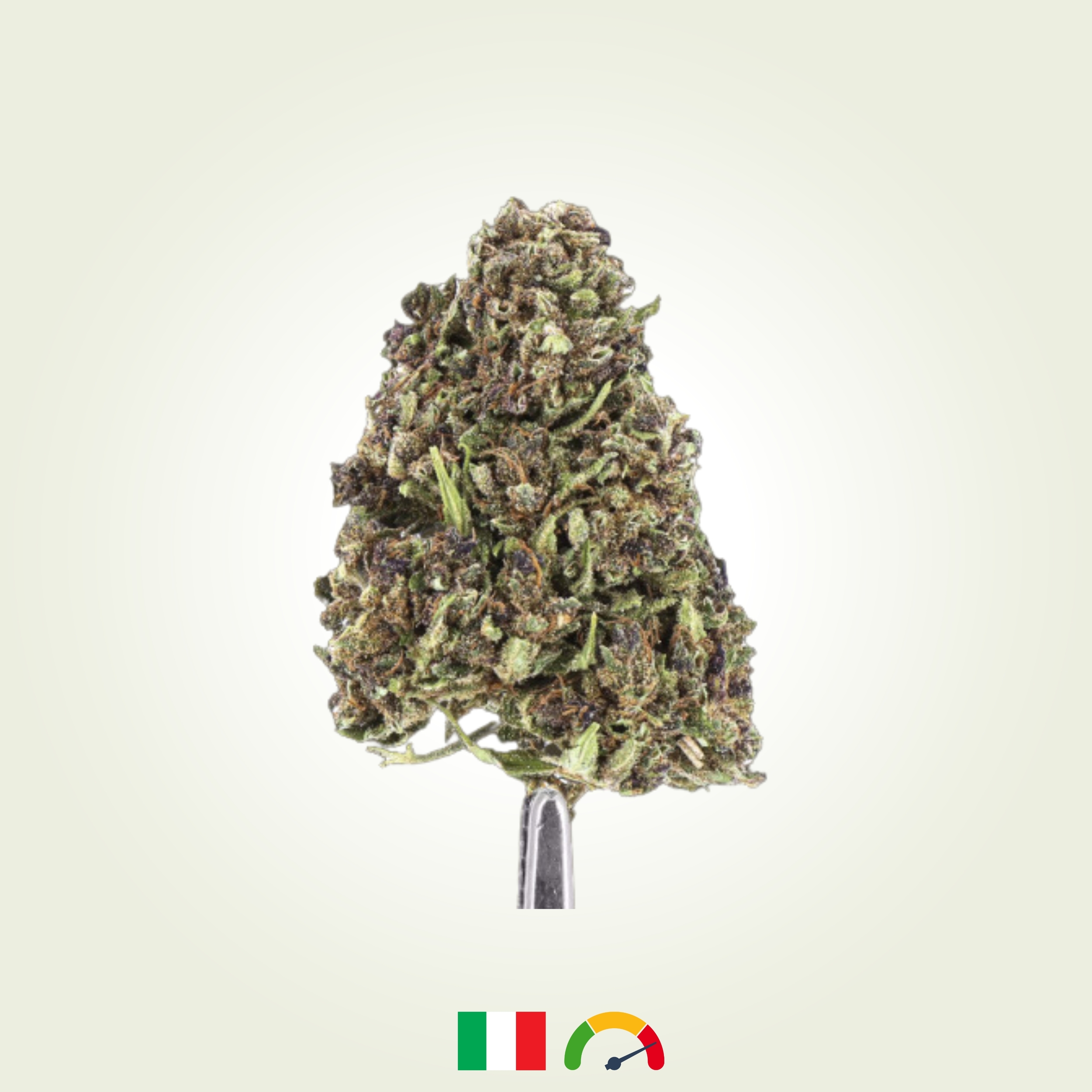 Copie de Trim premium