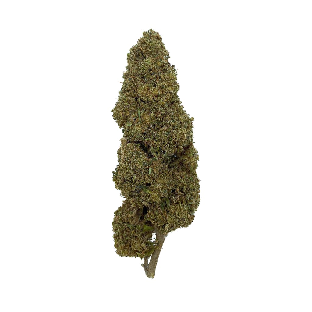 Grossiste-Jack-Herer-20-10-OH-Bud-Mix-Green-House-1