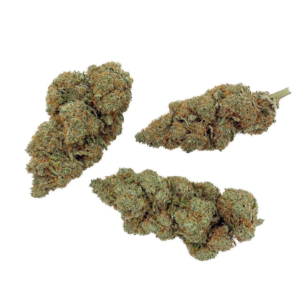 Grossiste-–-Lemon-Skunk-CBD-Bud-Mix-Indoor-Hydro