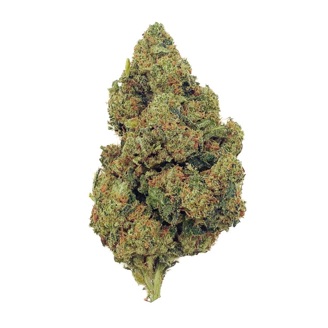 Amnesia-Haze-20-THCX-2.0-Big-Bud-Indoor-Hydro
