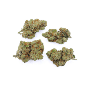 Fleurs-CBD-Amnesia-Haze