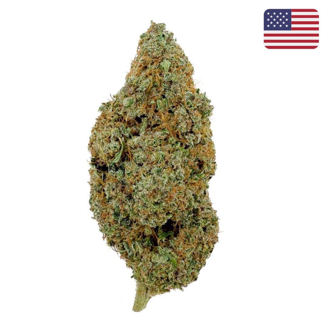 Skywalker-OG-CBD-Big-Bud-Indoor-Cali-1
