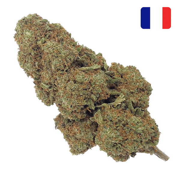 fournisseur-fleur-CBD-strawberry-haze-glass-house