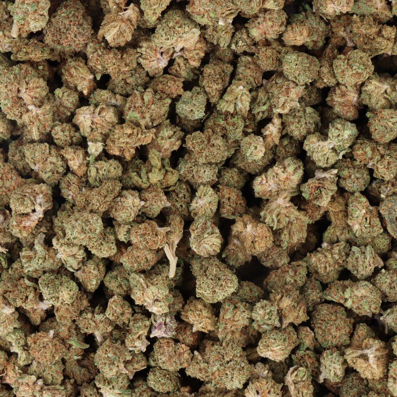 fleur-cbd-critical-small-bud-indoor