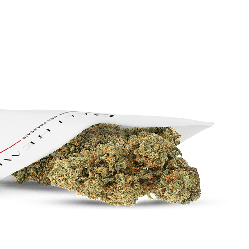 fleur-cbd-tangie-outdoor