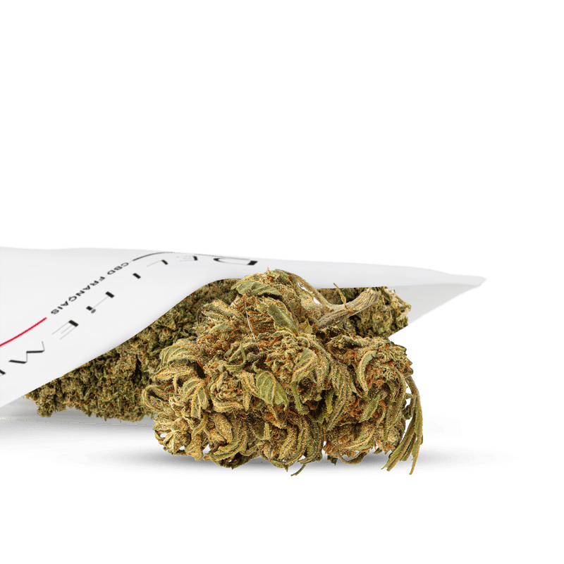 fleurs-cbd-jamaican-outdoor (1)