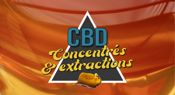 Concentrés et extractions CBD