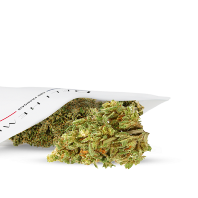 fleur-cbd-bubba-kush-big-bud-outdoor