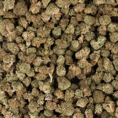 fleur-cbd-critical-small-bud-indoor