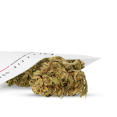 fleurs-cbd-jamaican-outdoor (1)