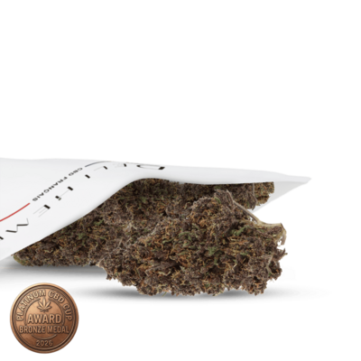 fleurs-cbd-black-diamond-greenhouse (2)