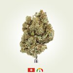 Trim premium (1)