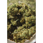 test-12