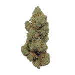 Lemon-Skunk-CBD-Bud-Mix-Indoor-Hydro