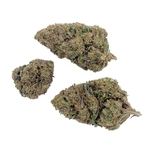 Grossiste-Mango-Kush-CBD-Bud-Mix-Glass-House