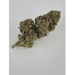 amnesia1