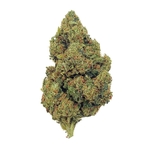 Amnesia-Haze-20-THCX-2.0-Big-Bud-Indoor-Hydro