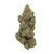 Lemon-Skunk-CBD-Bud-Mix-Indoor-Hydro