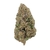 Mango-Kush-CBD-Bud-Mix-Glass-House