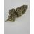 amnesia1